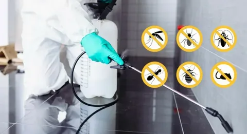 Eco-friendly pest control